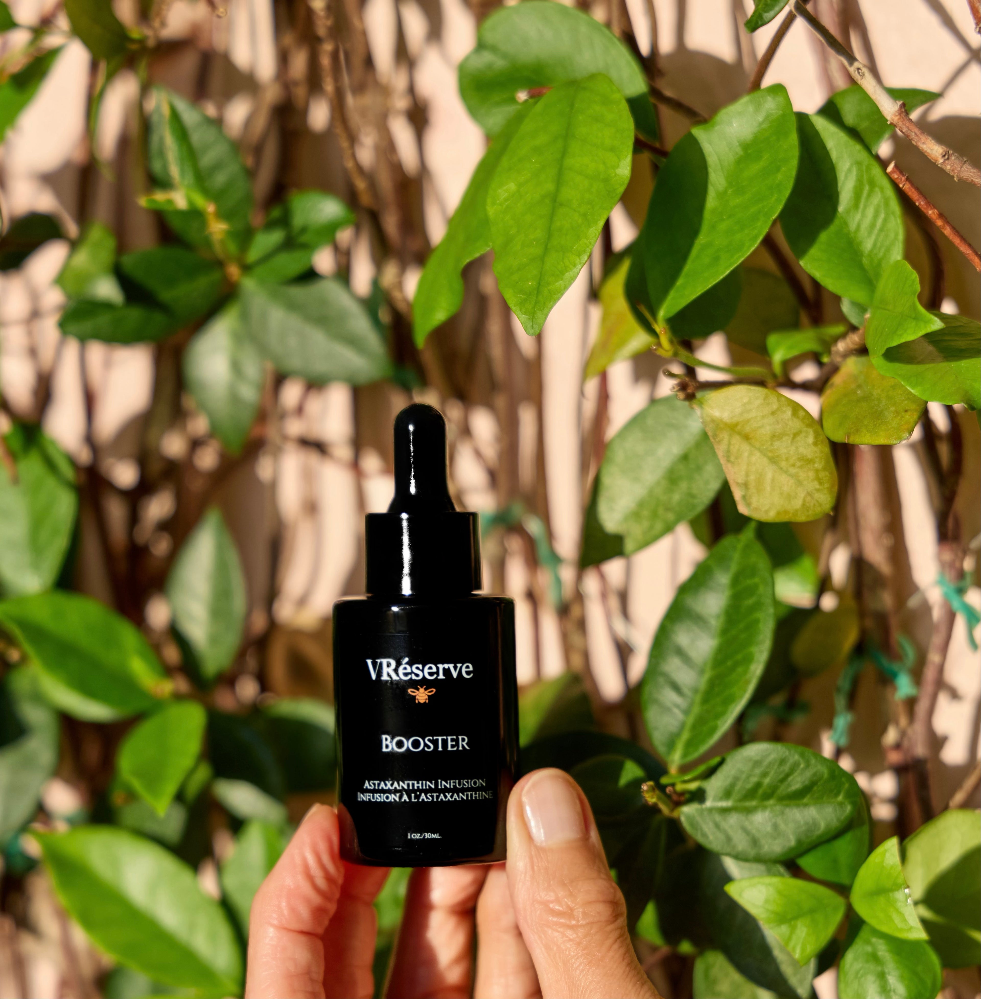 VRESERVE Astaxanthin booster being held in front of vined wall.pink wall, green leafy vines.